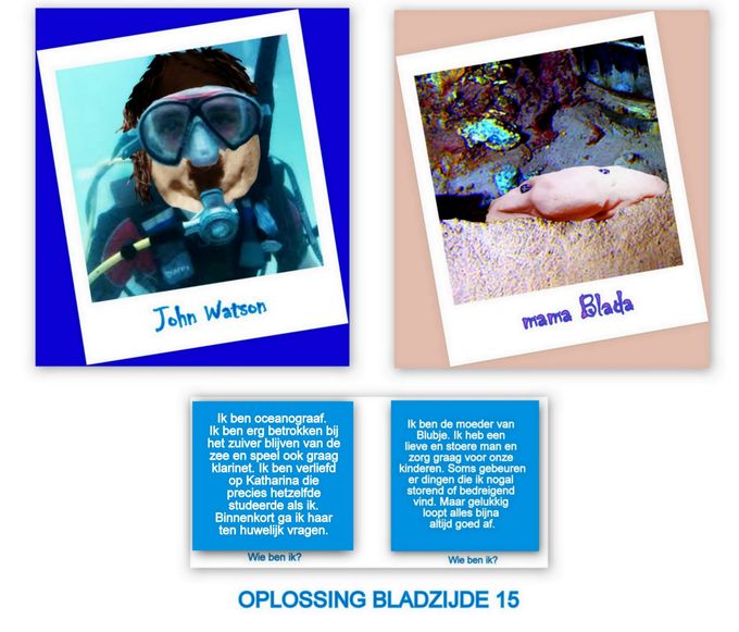 OPLOSSING BLADZIJDE 15 