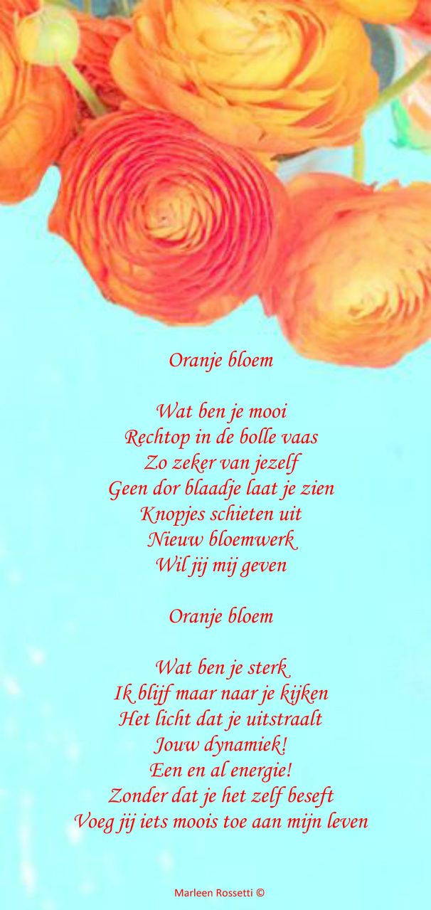 Oranje bloem