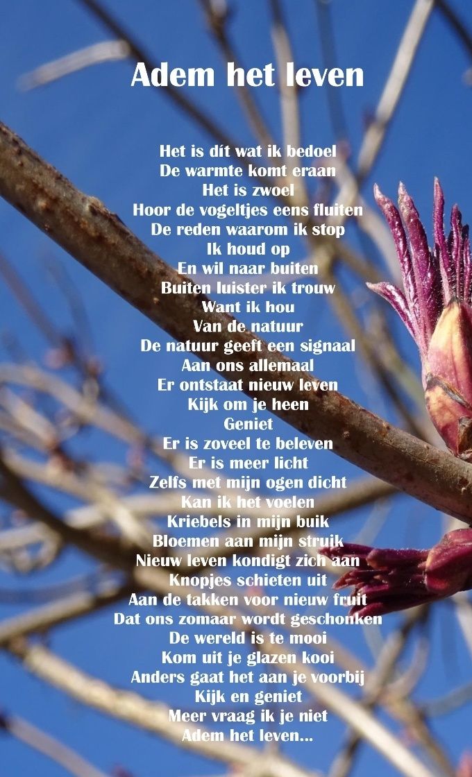 Adem het leven..