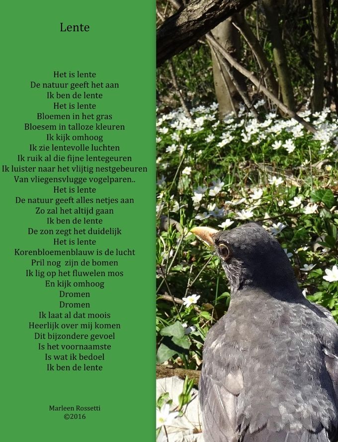 Lente