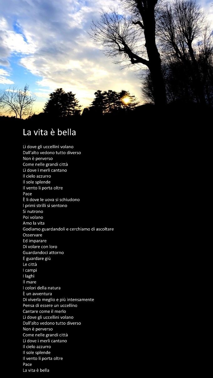 La vita è bella 